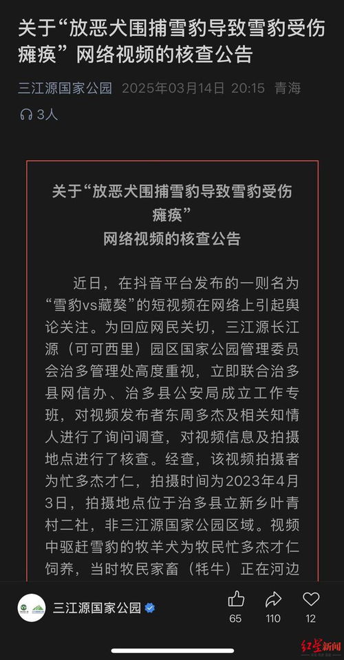 真相还原：小雪豹事件背后的事实与误解