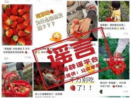 吃草莓会得草莓瘟？专家辟谣带你正确认识草莓