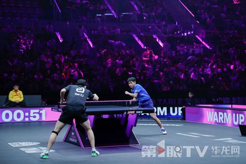 孙颖莎4-0横扫陈幸同夺冠！如何评价这场巅峰对决？