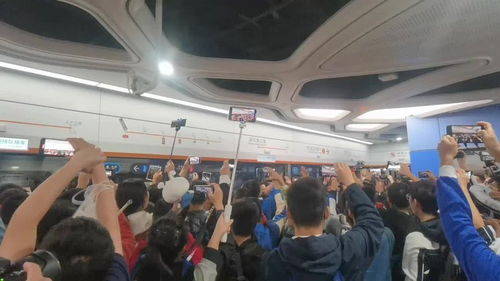 麦酷酷纸尿裤事件深度剖析：315晚会曝光后品牌如何应对