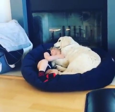 有床不睡，我要睡小窝：一个年轻人的深夜选择