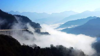 从谷底到云端：逐梦摄影师的逆袭之路