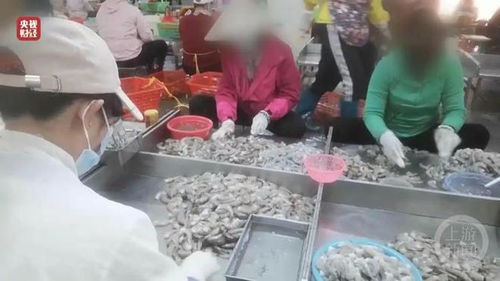 六家被点名虾仁企业线上消失：保水虾仁背后的秘密