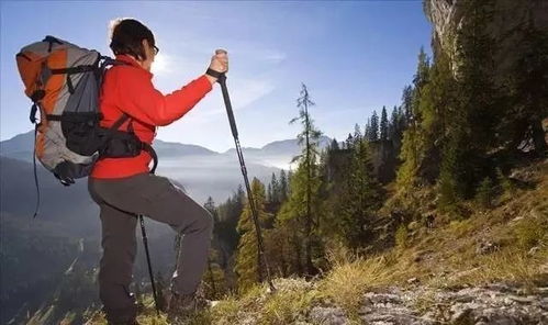 女生户外爬山鞋子被10cm树枝扎破：一场惊心动魄的救援行动