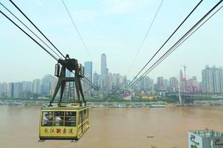 重庆游客“吃”轻轨，这道硬菜火出圈！