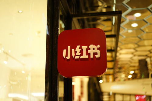 小红书接入DeepSeek，创作者的春天来了？