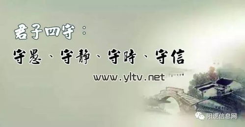 品茗者留心与静，静者明心与理