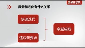 复盘｜社会是现实的：在复杂中找到自己的方向