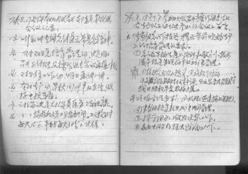 从清华到玫瑰重生：她的奋斗与蜕变