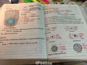 用颜色编织心灵：艺术治疗中的色彩故事