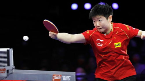 樊振东为何缺席澳门世界杯？背后真相全解析