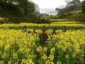 花海中的宁静：油菜花的芬芳
