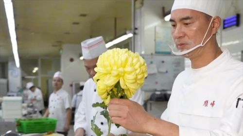 春日“花”经济升温：从南到北的赏花盛宴