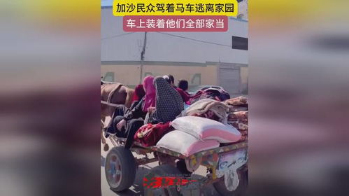 亲历加沙地带的惊魂一刻：马车失控与战火纷飞