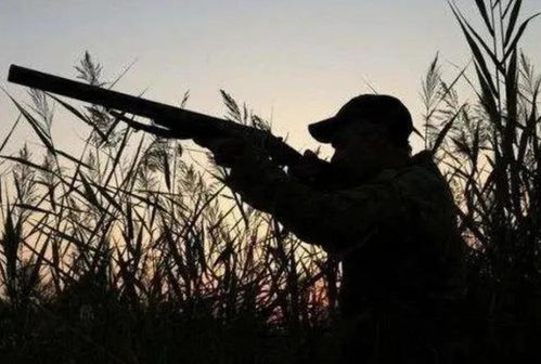 男子疑被当成猎物遭枪击死亡：悲剧背后的人性拷问