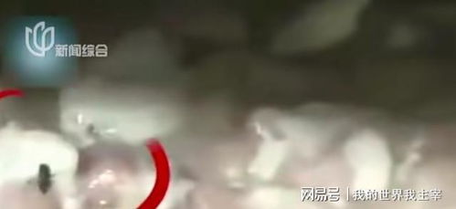 华莱士致歉背后：一场关于食品安全的反思