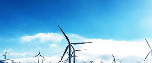 午间能量加油站：与轻能量同行的温暖时光