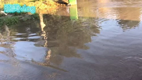 大雨过后，他与毒蘑菇的生死较量