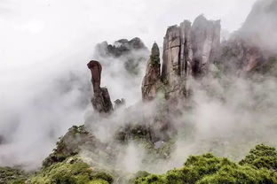 三清山米粒石与茶壶的奇妙缘分