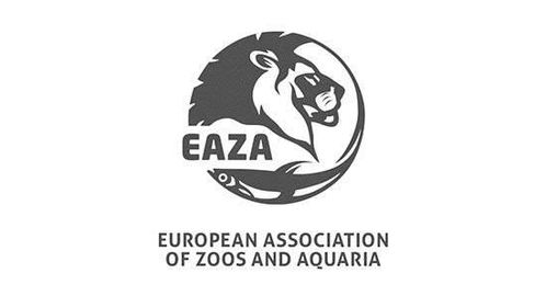 LOGO=商标？弄不清可能让你吃大亏！