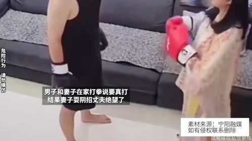 从“su7”到“酥妻”：一场网络文字风波的反思