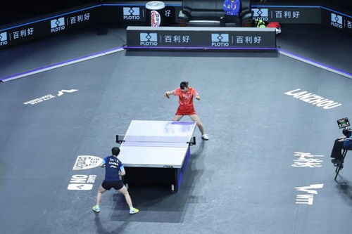 孙颖莎：WTT赛场的传奇缔造者