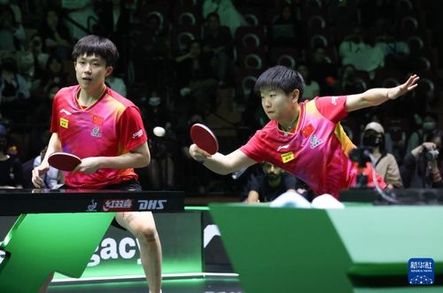 王楚钦孙颖莎WTT赛事冠军榜双世一：乒乓王者的巅峰对决