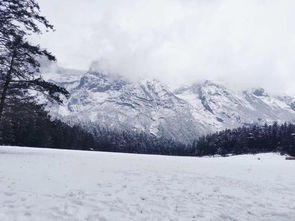 因持续降雪玉龙雪山索道停运，游客张女士的惊险经历