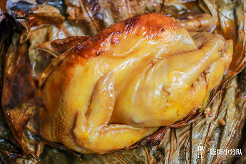 半只鸡480元？揭秘“音乐鸡”背后的真相与食品安全隐患