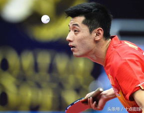 樊振东为何决定不参加澳门世界杯？背后真相大揭秘
