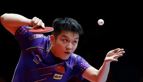 樊振东决定不参加世界杯：背后的故事与深思