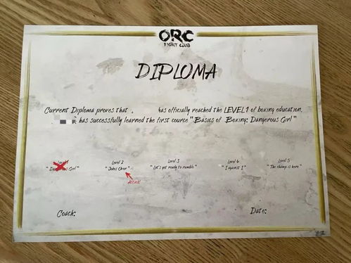 女子拳击班：全女经济下的力量与思考