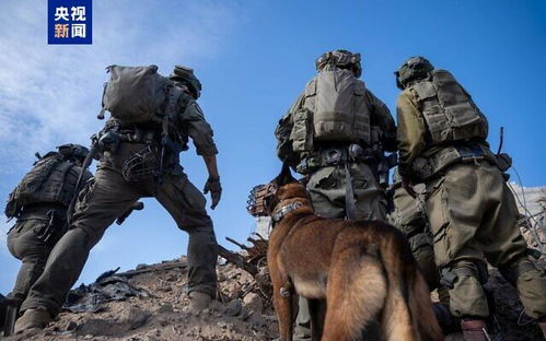 以军行动再起波澜：加沙地带局势持续紧张