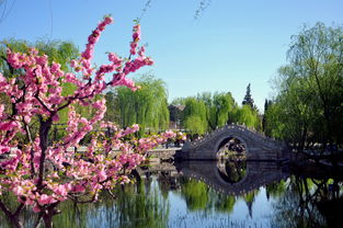 春之悦色：一场与春天的浪漫邂逅