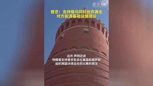 这通电话后，俄乌停火真的能提速吗？