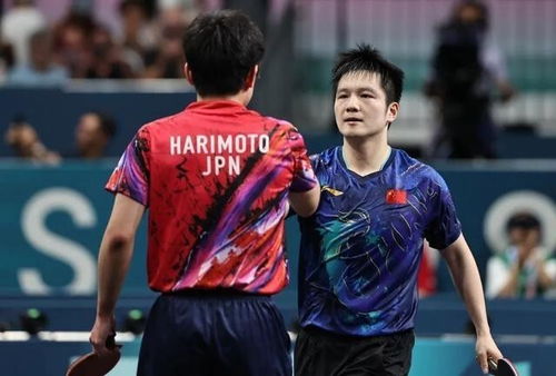 樊振东逆转张本智和：一场超越胜负的对决