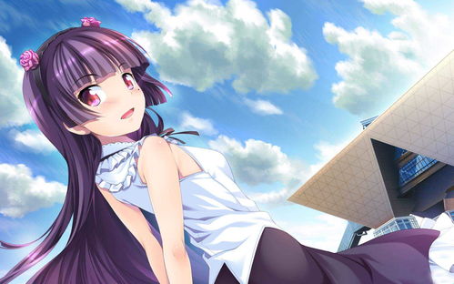 穿越时空的爱恋：弥助与织田信长妹妹的传奇故事