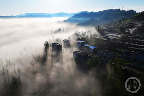 墨尔本晨雾中的诗意美学：广东卡乐卡板材K022色系的秘密探索