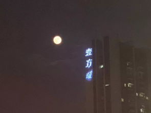 那些日子，那些事（2）：生活中的点滴与感悟