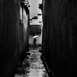 雨巷迷梦：一场关于追寻与迷失的心灵之旅