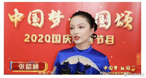 台当局扩大清查艺人身份：一场政治闹剧还是另有隐情？