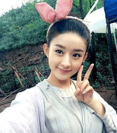 赵丽颖换上沈璃背景图，粉丝热议背后的故事