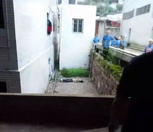 女子疑因被拔错牙坠楼身亡：一场悲剧背后的医疗责任追问