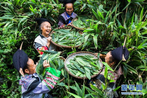 让民族特色在新时代焕发新光彩