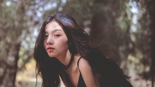 从无例外的美：简洁的力量与极致表达