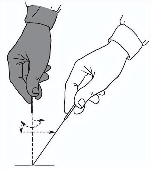 张良：在火与简之间，探寻内容创作的真谛