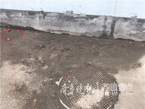 女子被拔错牙后坠楼身亡：家属发声还原真相