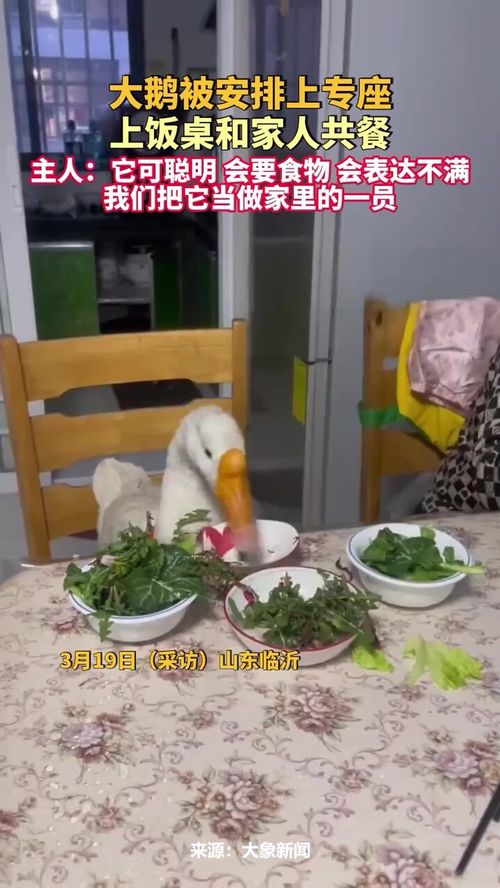 净水器水管接反？上海女子喝了五年“废水”，真相竟是这样！