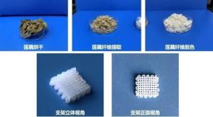 公园回应哪吒雕塑太丑被重塑肉身：从争议到网红打卡点