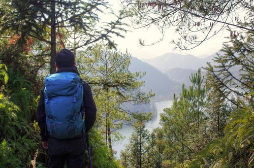 为什么徒步登山时，大家都离不开拐杖？